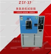 ZSY-37臭氧老化箱-硫化橡胶制品