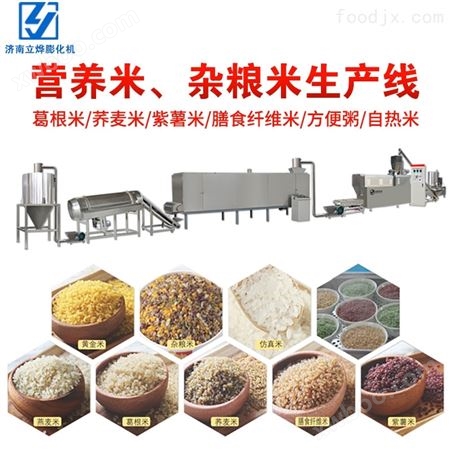 人造大米杂粮米营养米速食米仿真米加工设备