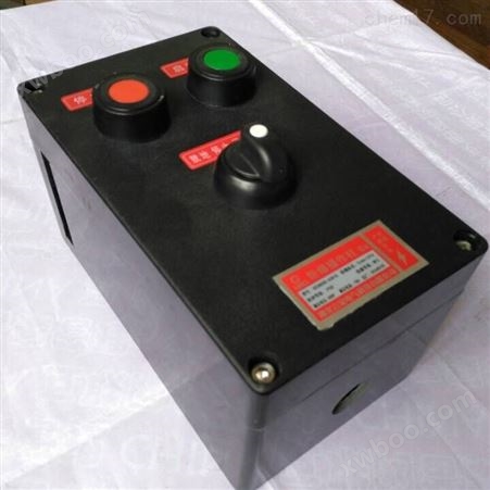 BZC8060-S-A2K1启停操作控制开关柜电源箱