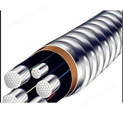 铝合金电缆2