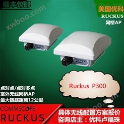 Ruckus P300点对点/点对多点网桥优科P300