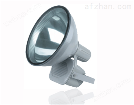 B-ZT6902防水防尘防震型投光灯