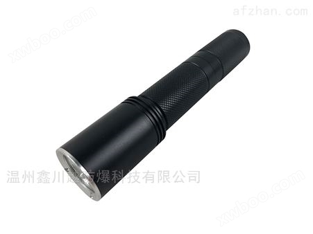 鑫川越-JW7620固态微型防爆电筒-*
