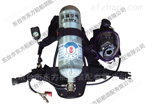 国标自吸式长管面罩呼吸器（DFZXS-I）