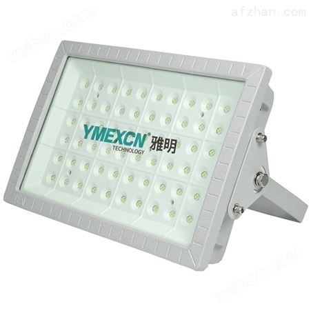 耐高温喷漆房LED防爆灯100W吸顶壁式灯